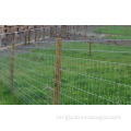 Galvanized Kraal Mesh Fence/Grasslanf Fence/Fence Mesh